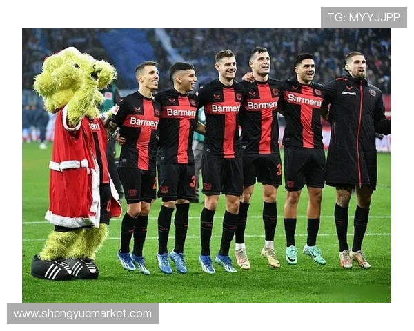 德甲联赛中一支典型球队的详细介绍