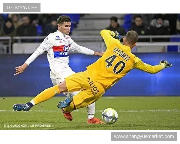 法甲球员薪资统计与收入分配现状详细报告