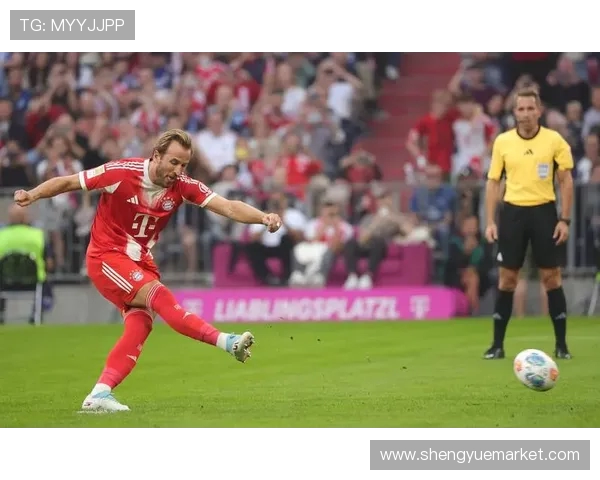 电视节目《这就是足球》中介绍的德甲俱乐部详细背景分析